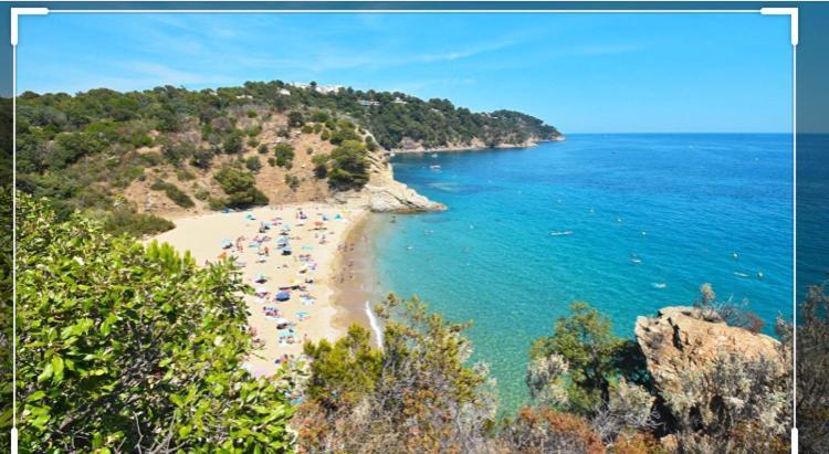 Cavalaire Vue Mer Au Loin Maisonnette Tout Equipee Pour 4 Personnes Avec Piscine Clim Wifi Velos Tv Barbecues Kültér fotó