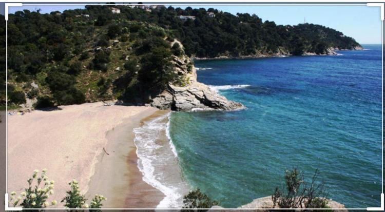 Cavalaire Vue Mer Au Loin Maisonnette Tout Equipee Pour 4 Personnes Avec Piscine Clim Wifi Velos Tv Barbecues Kültér fotó